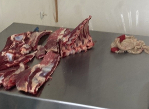 Կասեցվել է 285,7 կգ մսի վաճառքը