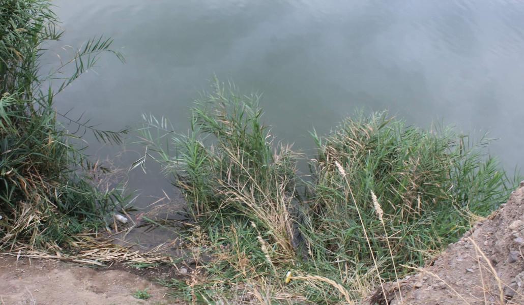 305755197_528884582374553_2284110454518296441_n