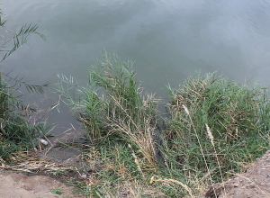 Լճի մեջ տղամարդու դի է հայտնաբերվել՝ պարանոցին և այտին պատռված վերքերով