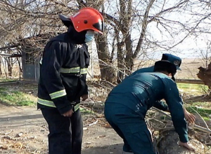 Իջևան-Դիլիջան ավտոճանապարհին ծառ է ընկել․ ճանապարհը դարձել է միակողմանի երթևեկելի