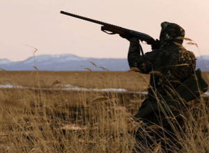 Որսորդի հրացանը դատարանի վճռով բռնագրավվել է․ 5 հատ տափաստանային արտույտ էր որսացել