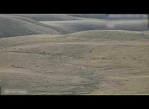 Հակառակորդը մոտենում է հայկական դիրքերին, հետո, կրելով կորուստներ, ստիպված վերադառնում ելման դիրքեր