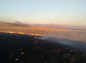 Հրշեջ-փրկարարները մարել են ընդհանուր մոտ 174 հա տարածքում բռնկված հրդեհները