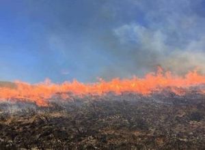 Կոտայքի մարզի Սոլակ գյուղի դաշտերում այրվել է մոտ 40 հա խոտածածկույթ