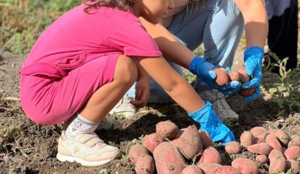 307725999_566812698572208_861872984359238237_n