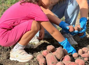 Ինչպես տեսնում եք, խուճապի մեջ ենք երեկվա հայտարարություններից հետո. պատգամավոր