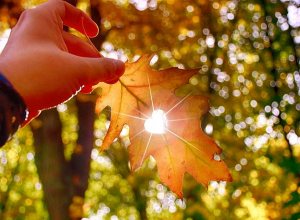 Температура воздуха повысится на 6-8 градусов