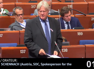 Армянские пленные, находящиеся в Азербайджане, должны вернуться домой: Стефан Шенас, Австрия