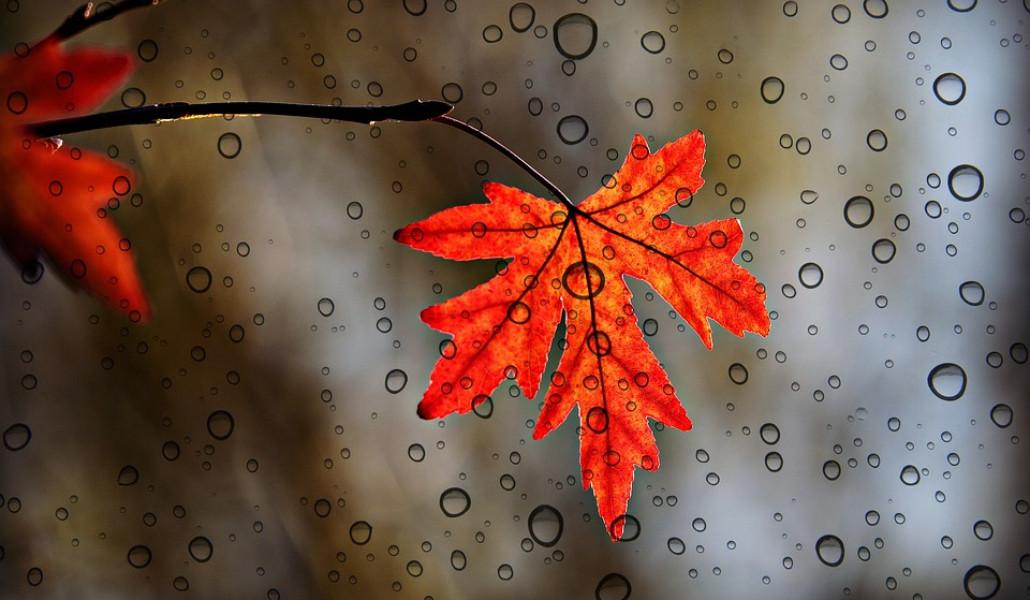 rain autumn