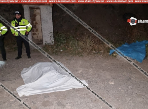 Դավթաշենի կամրջի տակ դիեր են հայտնաբերվել․ shamshyan.com