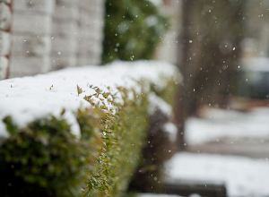 Եղանակն առաջիկայում