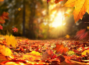 Ինչ եղանակ են կանխատեսում առաջիկա օրերի համար