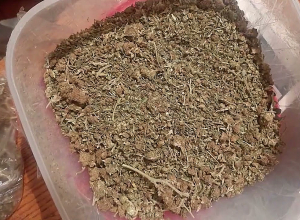 Քրեական ոստիկանության ծառայողների պայքարը հանցավորության դեմ