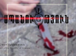 82-ամյա տատի ձեռքից դանակը խլել է ու սպանել նրան, հետո տպավորություն ստեղծել, թե վերջինս ինքնասպան է եղել