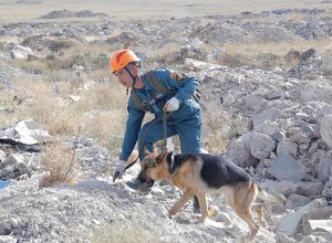 Ռուս մասնագետները գնահատել են հետախույզ կինոլոգիական ջոկատի կարողությունները