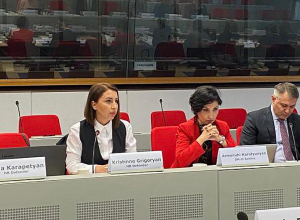 Քրիստինե Գրիգորյանը Բրյուսելում ներկայացրել է Ադրբեջանի կոպիտ խախտումները