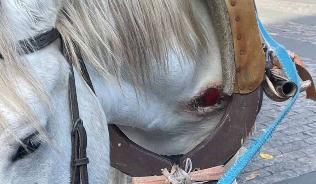 314361784_493260776160613_3032573407686197315_n