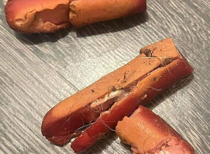 Ոստիկանության Նոր Նորքի բաժինը նախաքննական մարմին է ուղարկել վարչական շրջանում շների թունավորման վերաբերյալ նյութերը