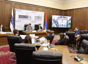 Մենք նվիրված ենք խաղաղության օրակարգին. Ալեն Սիմոնյանը  ելույթ է ունեցել ԵԱՀԿ ԽՎ երիտասարդ պատգամավորների նիստում