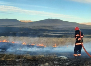 Ստեփանավանի տարածաշրջանում այրվել է մոտ 100 հա խոտածածկույթ