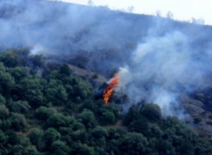 «Դիլիջանի ազգային պարկ»-ի տարածքում բռնկված հրդեհը մարվել է․ թարմացված