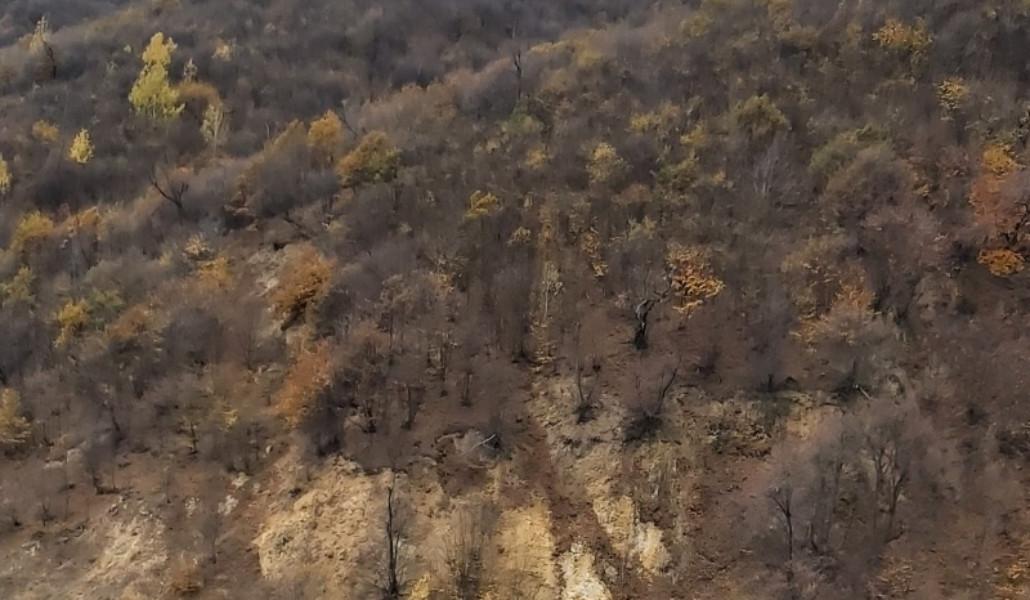 16403960d661f928f110df38acbd5e8f