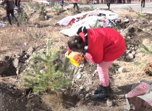 Ամեն աշակերտ անվանական ծառ է տնկել դպրոցի բակում․ նախաձեռնություն՝ Գավառի թիվ 2 բակում