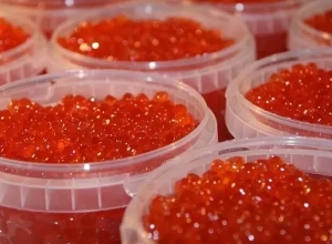 Կառավարությունն առաջարկում է սիգի ձկնկիթի արտահանման արգելք սահմանել