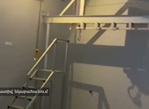 Կեղծ փաստաթղթեր սպանդանոցներից, 10-ից ավելի քրեական վարույթ. Քրեական ոստիկանության բացահայտումը