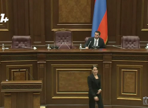 Госпожа Бадалян, вы когда-нибудь в жизни видели дорогое полотно, что говорите? Рубинян