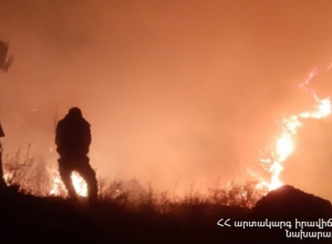 Տավուշում հարսը հրկիզել էր խոտի դեզը՝ փորձելով հրկիզել նաև հավանոցը