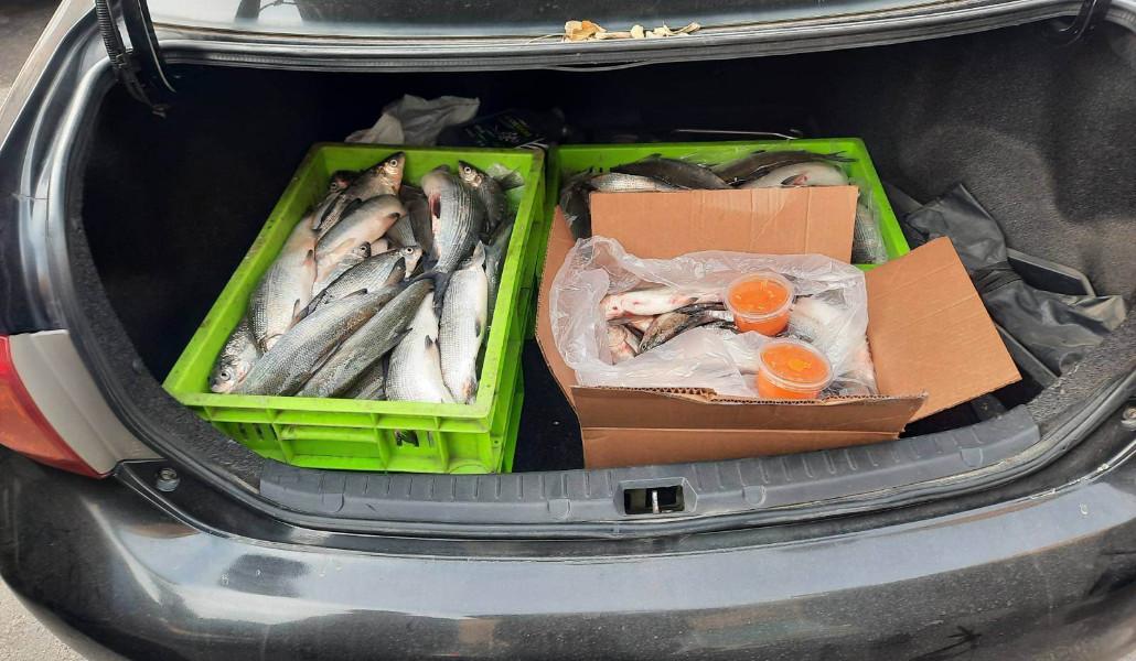 324840097_878161293376232_2630166167537692876_n