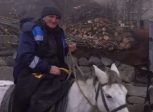 Կյանքը՝ հարավում