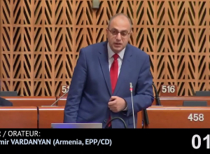 Վլադիմիր Վարդանյանի ելույթը