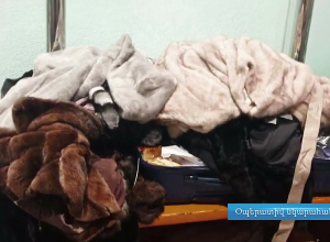 Փորձ է արվել ՀՀ ներմուծել 10 չհայտարարագրված բնական մուշտակներ