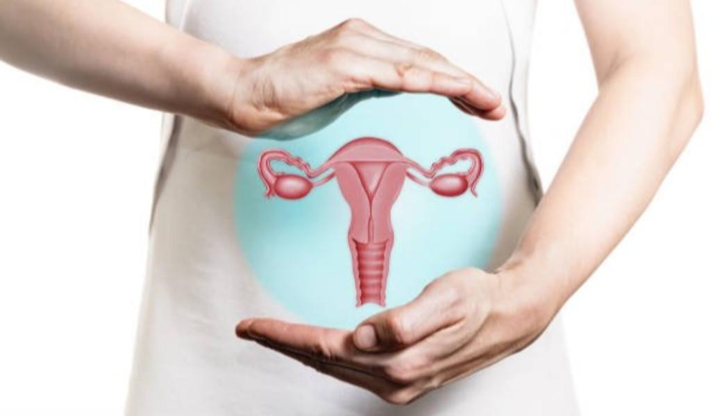 327072320_582672990381610_4924423610769426347_n