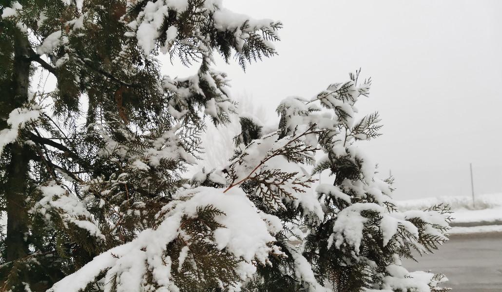 cold weather snow