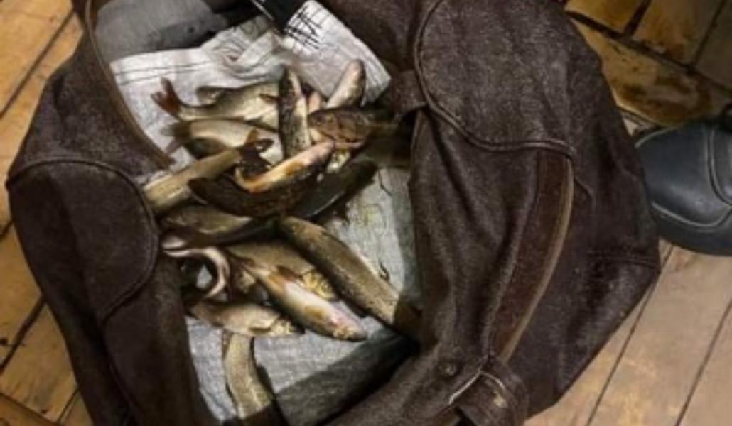 325085151_901121594360827_8319689754260699993_n