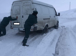 263 արգելափակված մեքենա. Լուսանկարներ