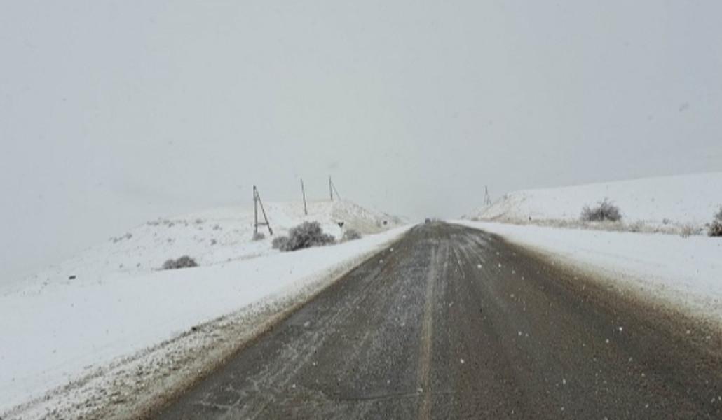 329804941_581785793508428_739502296741005544_n