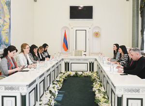 Заместитель генпрокурора Манасян обсудила с коллегами из СЕ перспективы развития сотрудничества