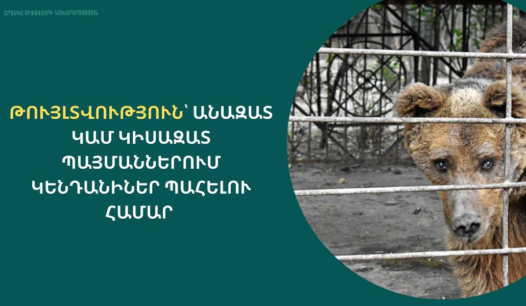 332302997_1255837978338639_5360742429838522721_n