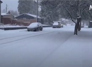 Метель в Калифорнии