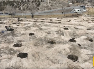 Դեպի Եռաբլուր տանող ճանապարհը կլինի կանաչապատ ու խնամված