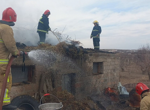 Ամասիայում անասնակեր է այրվել