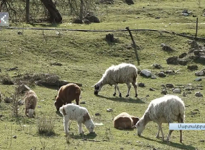 Մարտակերտի շրջանում որոշել են ակտիվացնել գարնանացանի աշխատանքները