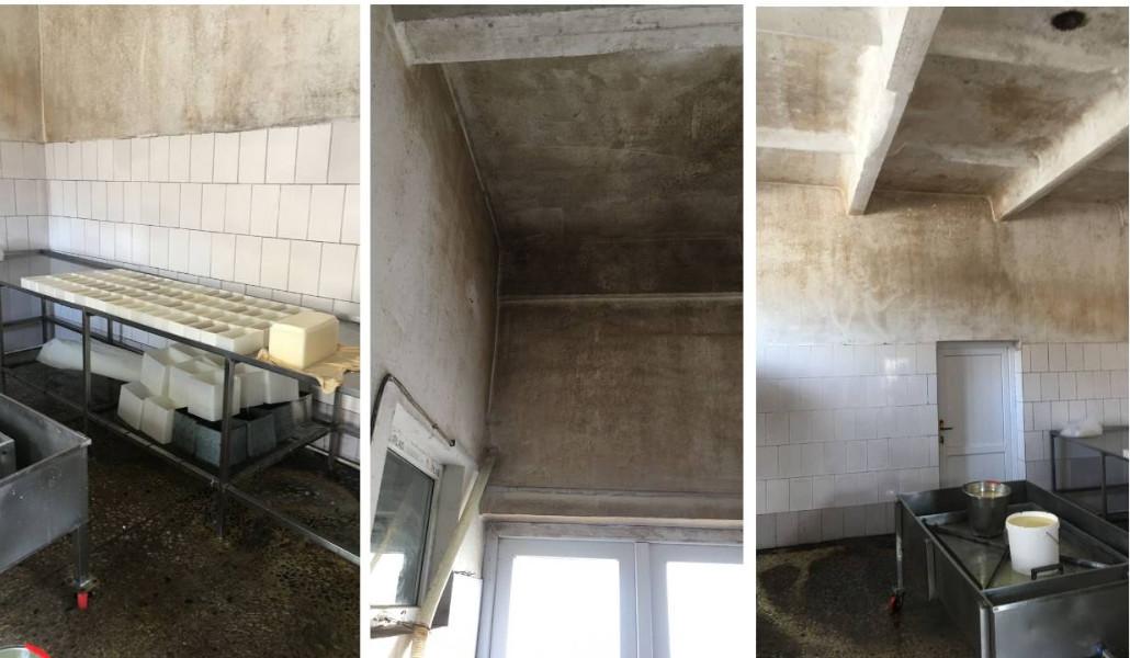 Untitled Design (27)