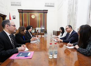 Тигран Хачатрян принял представителей Международного валютного фонда