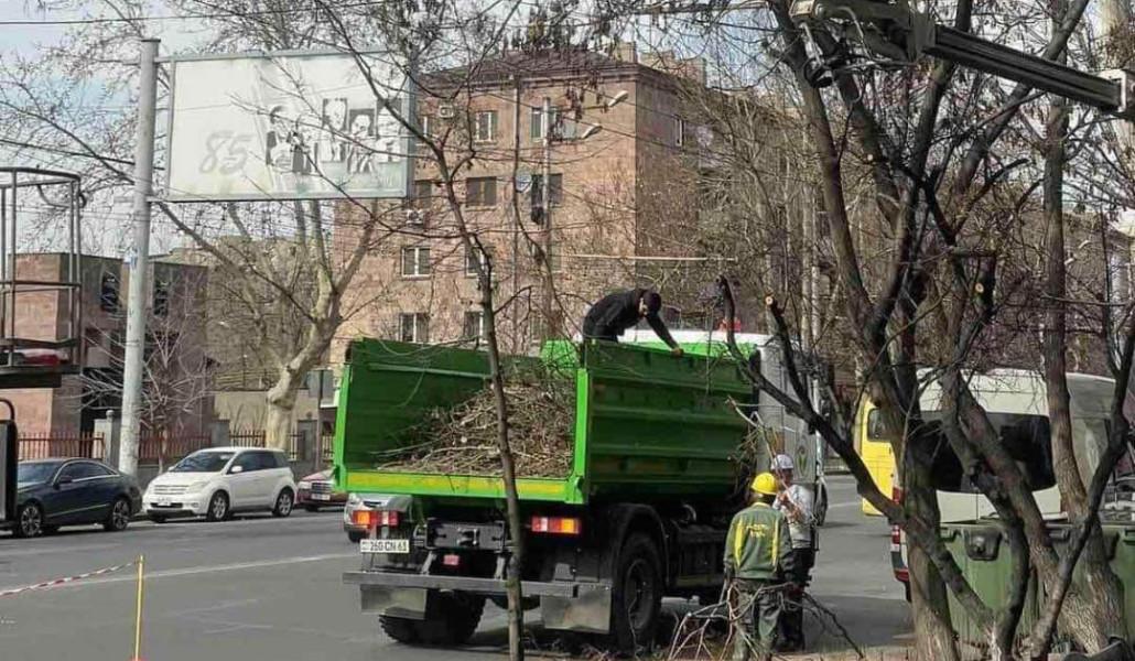 FB_IMG_1679252417456