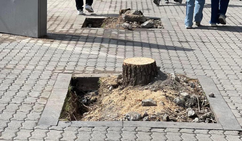 336885115_158745360397718_9161364359651123399_n